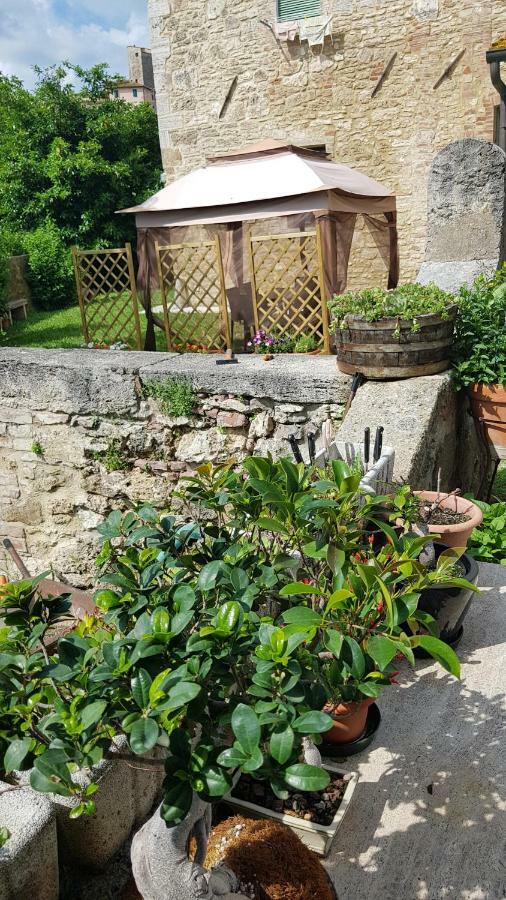 San Paterno B&B Rapolano Terme Exterior foto