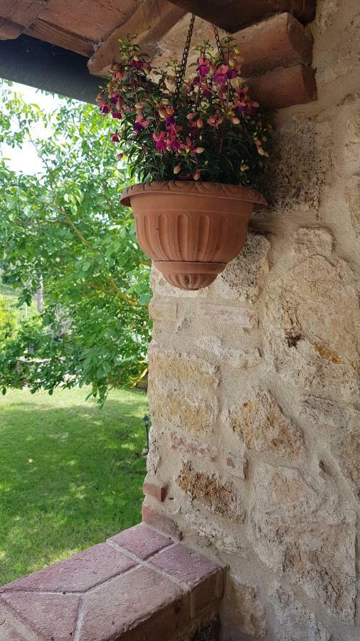 San Paterno B&B Rapolano Terme Exterior foto